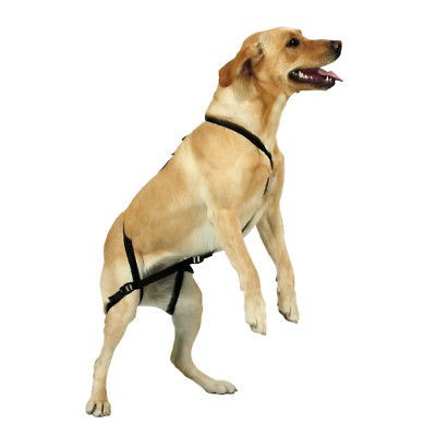 GUARDIAN GEAR NO JUMP DOG TRAINING HARNESS for 20 70lb