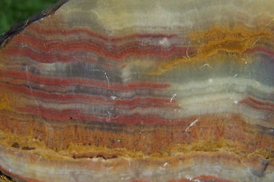 s1651 beautiful barite onyx n ice lapidary caboc hon saw