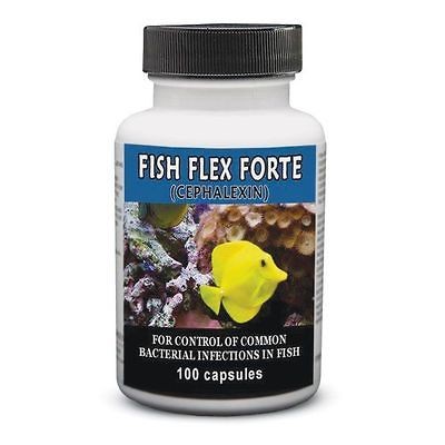 500mg Fish Flex Forte Cephalexin antibiotic aquarium aeromonas 