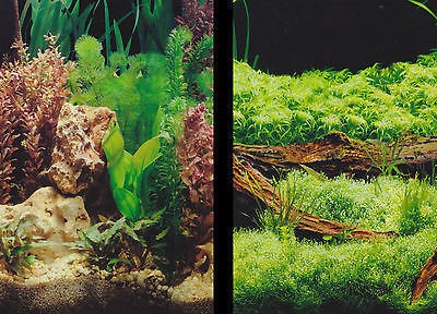 aquarium backgrounds in Other