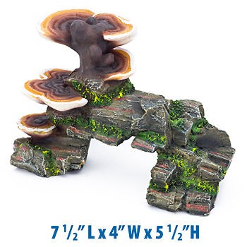   Brown Mushrooms on a rock Aquarium, fishbowl, frog, reptile ornament