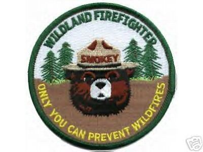 Smokey Bear WILDLAND Fire Fighter REFLECTIVE HELMET Hard Hat Decal 