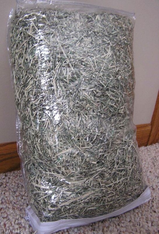   UNITED STATES OF AMERICA REAL SHREDDED MONEY LONG STRANDS *LARGE BAG