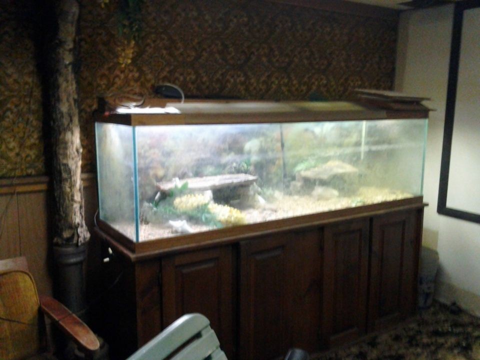 125 gallon aquarium in Aquariums