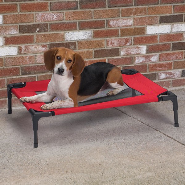   Gear Elevated Dog Pet Beds Cots 4 SIZES CRIMSON w/ Mesh Panels