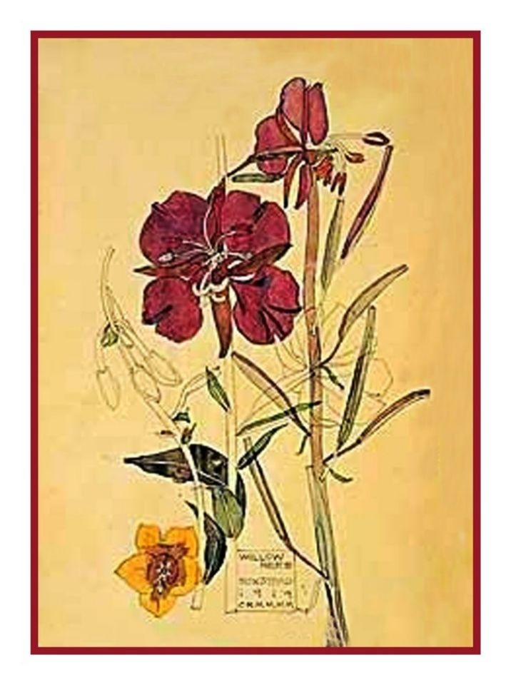 Wildflowers by Charles Rennie Mackintosh Counted Cross Stitch Chart