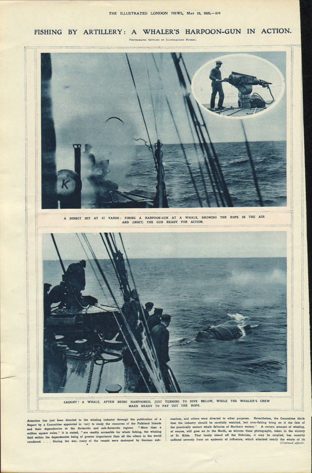 HARPOON GUN IN ACTION FISHING BY ARTILLERY /1920 9PRINT 940