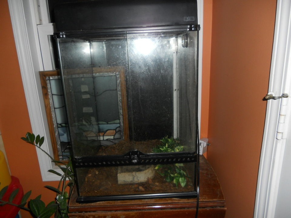 EXO TERRA glass terrarium 24x18x18 reptile cage habitat with tons of 