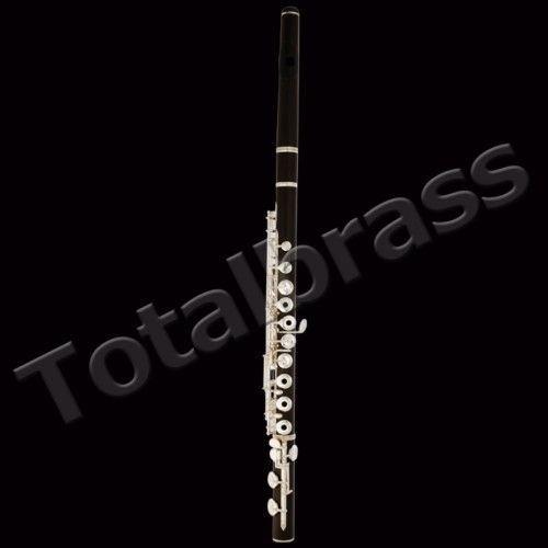 Transverse flute in Flute