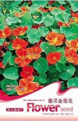 Pack 8 Seeds Trailing Red Nasturtium Seed Garden Flower Hot G002