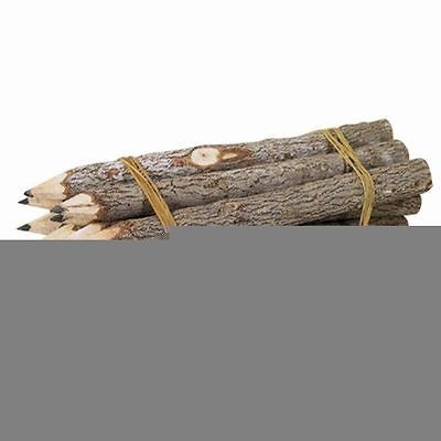 Twig uums Whimsical 5 Inch Twig Pencils PK of 12