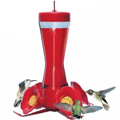 hummingbird feeder in Feeders