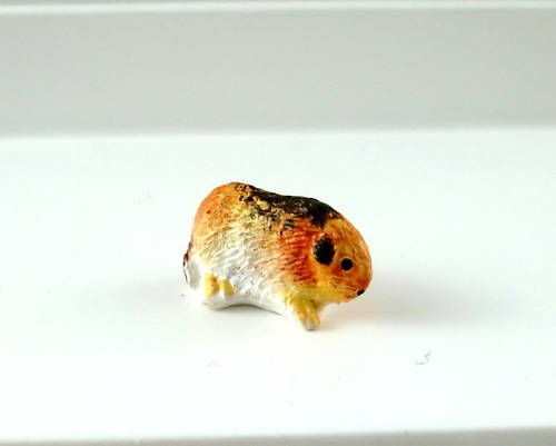 New Dolls House Miniature Accessory Pet Guinea Pig 302