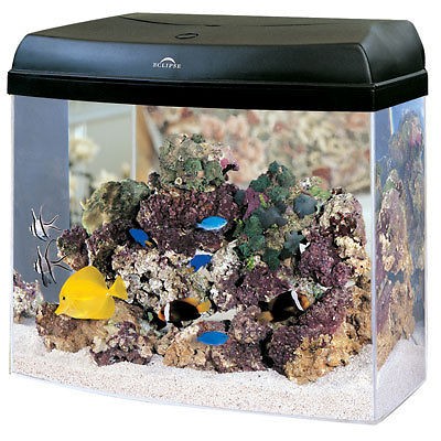 The Marineland Eclipse 12 Aquarium System Acrylic 12 Gallon on PopScreen