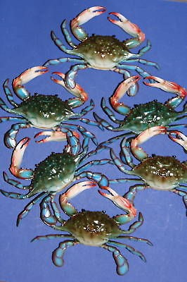 Newly listed 6   6 BLUE CRABS, BEACH DECOR, SEALIFE, SEAFOOD DECOR