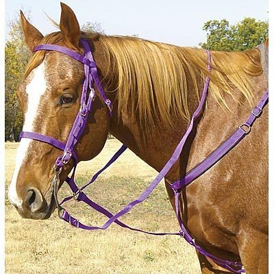 purple breast collar in Bridles, Headstalls