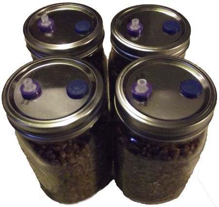 Mushroom spawn substrate jars injectable and sterile