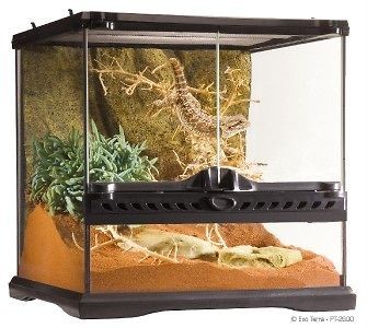 Exo Terra Glass Terrarium 12x12x12 Reptile Cage PT2600