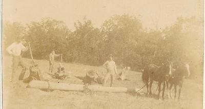 c1900 SW Wisconsin Stump Pulling Crew Farm Field Photo Horses Cant 