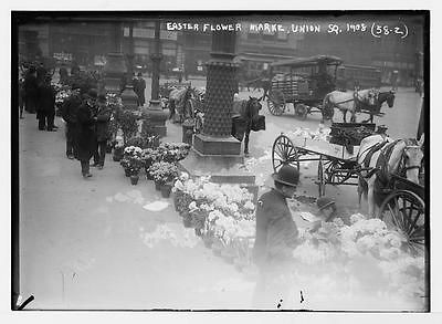 Easter flowers for sale in Union Square,New York,NY,1908,horse drawn 