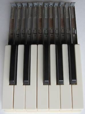 Hammond Organ Keys   One Octave for A100 B2 B3 C2 C3 M2 M3 RT2 RT3 and 