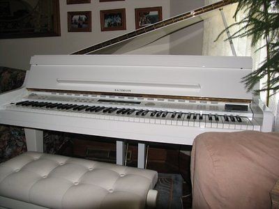 baby grand piano in Piano