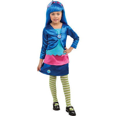 Strawberry Shortcake Deluxe Blueberry Muffin Halloween Costume   Child 