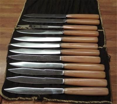 Acier ST Inoxydable Steak Table Knives TWELVE