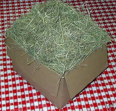 15 lb PREMIUM 1st Cut Timothy Rabbit HAY IN A BOX