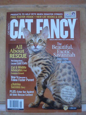 Cat Fancy June 2007 The beautiful exotic Savannah