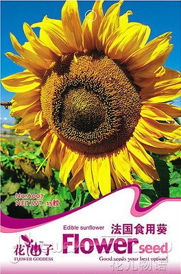 Sunflower Seed ★ 15 Flower Warm Edible Popular