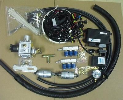 Methane CNG Sequential Injection System Conversion Kit for V5 V6 EFI 