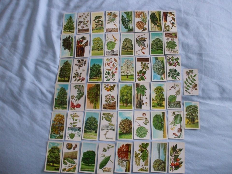 BROOKE BOND TEA CARDSTREES IN BRITAIN 1966BUY INDIVIDUALLY NOs 1 