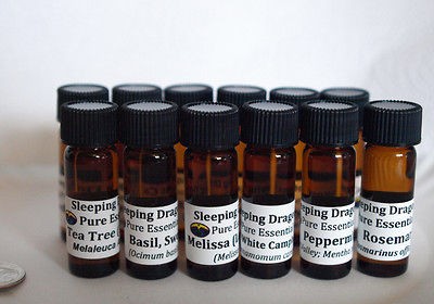 TOP 12 Essential Oils LOT $56+ Aromatherapy Starter SET Most Popular 