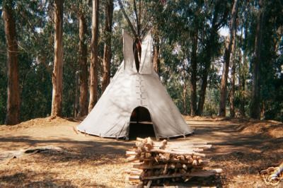 18 CHEYENNE STYLE tipi/teepee,liner,door, lacepins,bag WORLD WIDE 