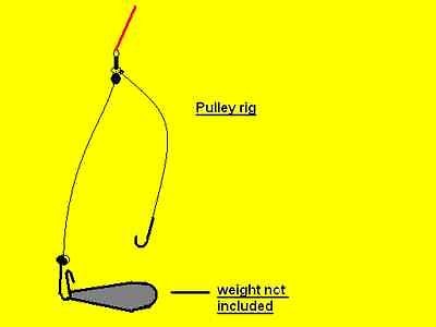 15 COD PULLY RIGS + ROD TIP LIGHT