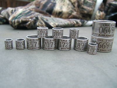 12 Waterfowl Bands duck/goose/swa​n/teal/ duck band