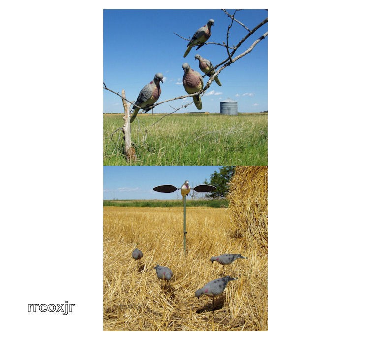 MOJO DOVE EDGE CLIP ON FEEDING DECOYS MEGA COMBO NEW