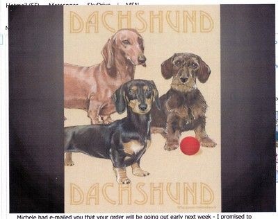 NEW Garden size flag   Dachshund smooth, long hair & wire hair great 