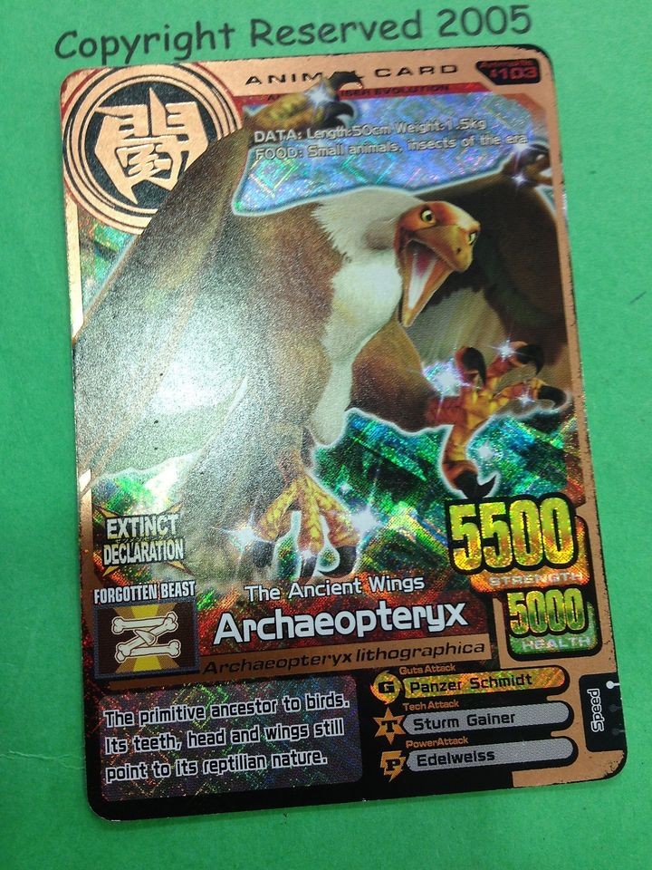 Animal Kaiser Bronze English ,Foil Archaeopteryx Evo.1 A 103E