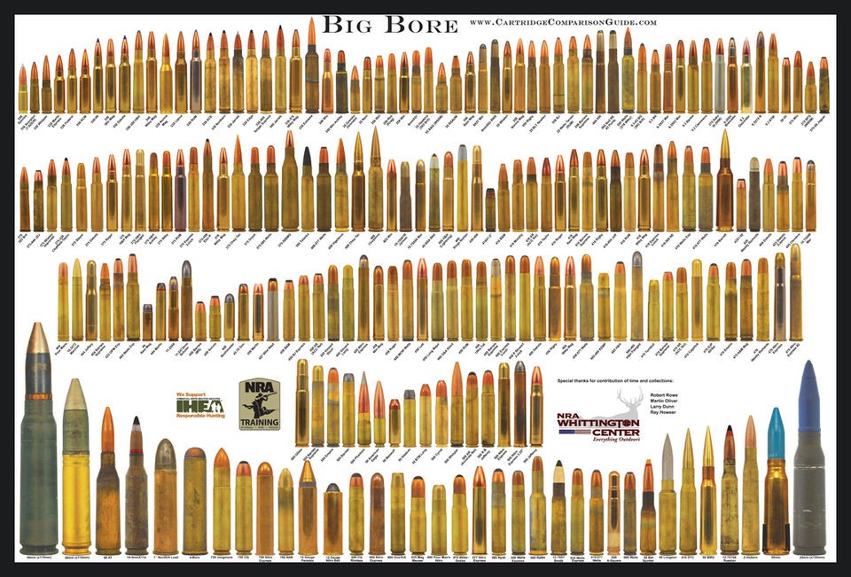 BIG Bore   Bullet Poster (Cartridge Comparison Guide)