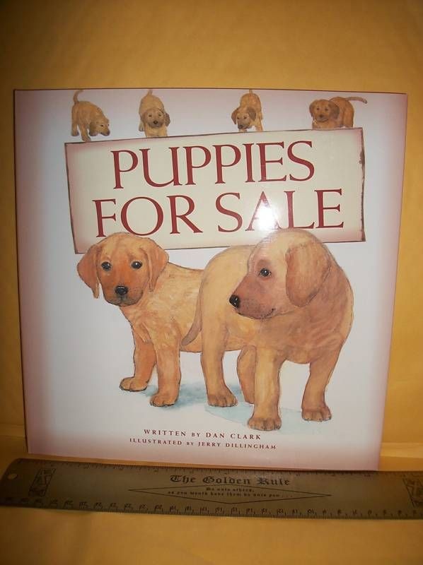   For Sale Hardcover BOOK Handicap Lesson Picture Book DJ Dog Fiction