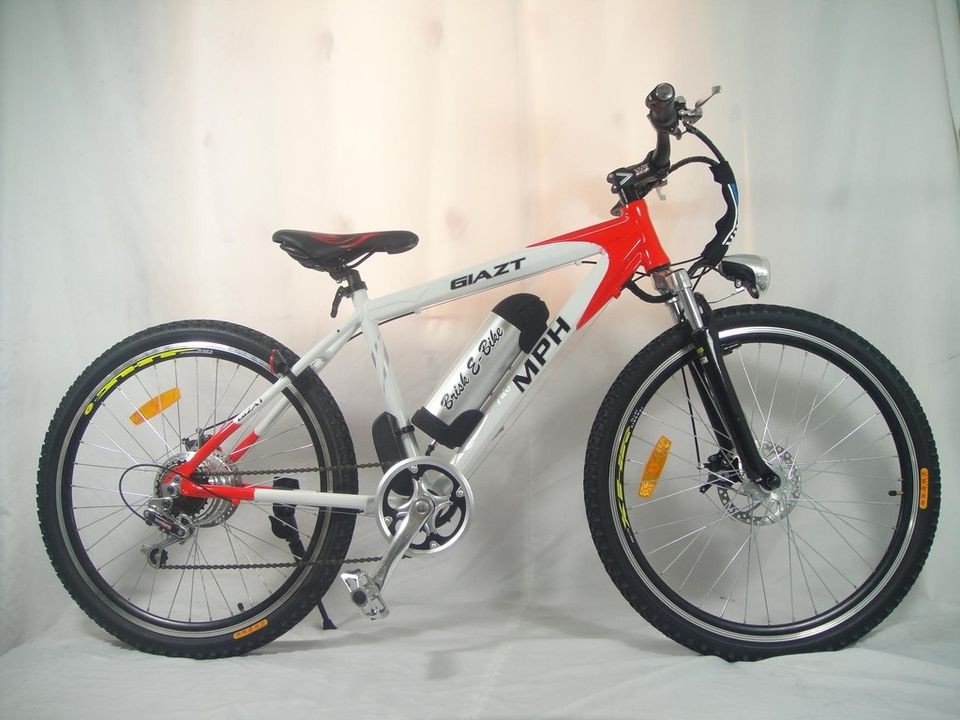 2012 New Model Cool E Bike 24V 250W+24V 8AH Li. Battery