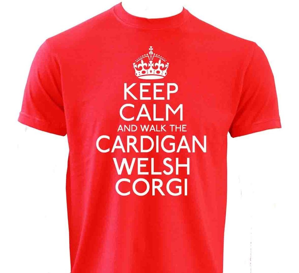   AND WALK THE CORGI (Welsh Corgi Pet Dog Toy Cardigan Pembroke) T SHIRT
