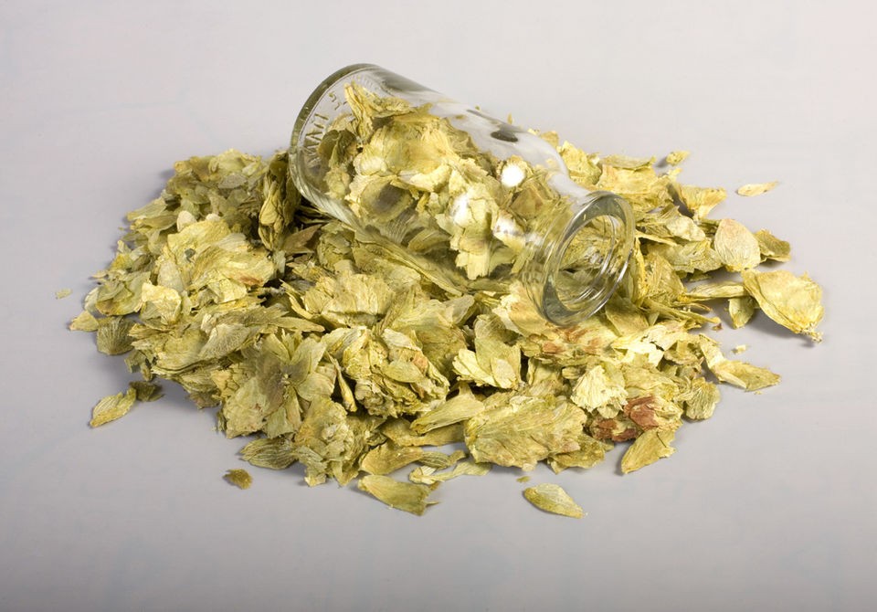 hops humulus lupulus organic 114g from canada 