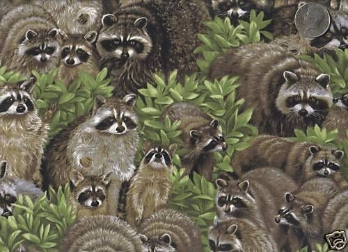 adorable racoons fabric by fabriquilt 1 2 yd new time