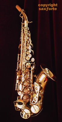 YANAGISAWA SC991 SC 991 SOPRANO SAXOPHONE SAX ENGRAVED LACQUERED NEW