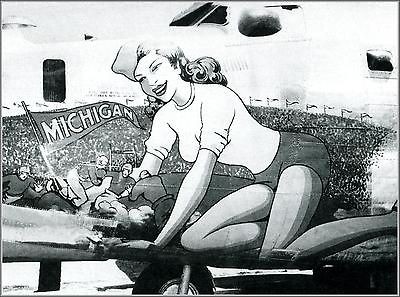 photo bomber nose art michigan b 24j liberator wwii time