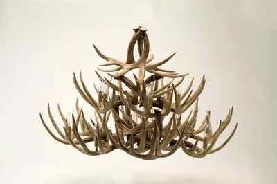   Chandelier, 27 Antlers, Deer Antler, 24x41, 14 Light, 44 Lbs, USA Made