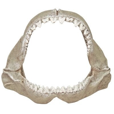 Shark Jaws 349 small ~ aquarium ornament fish tank decoration